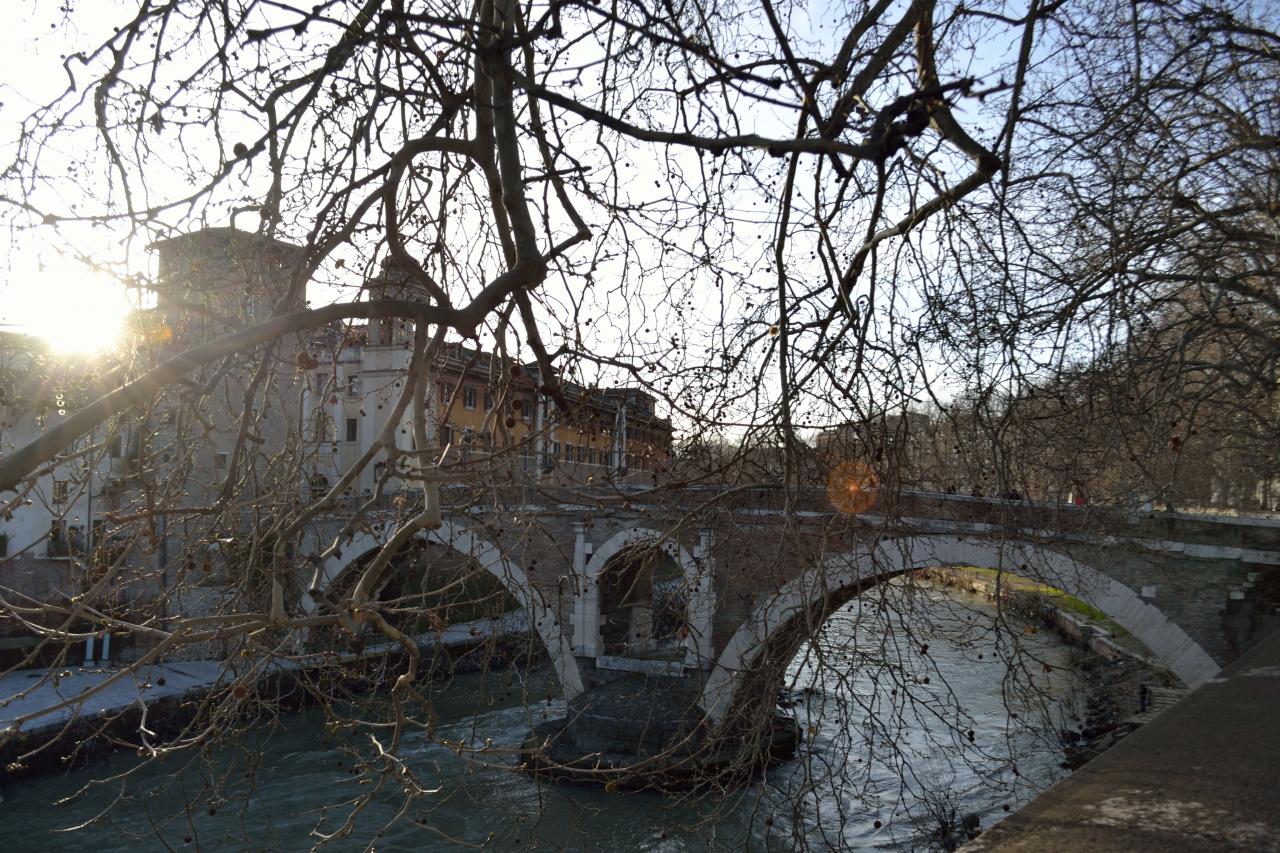 Il ponte dell'isola tiberina - Roma