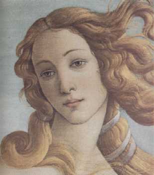 Venere - Botticelli